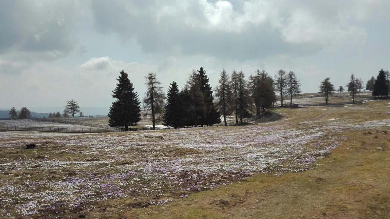 Alpenrose Διαμέρισμα Meltina Εξωτερικό φωτογραφία