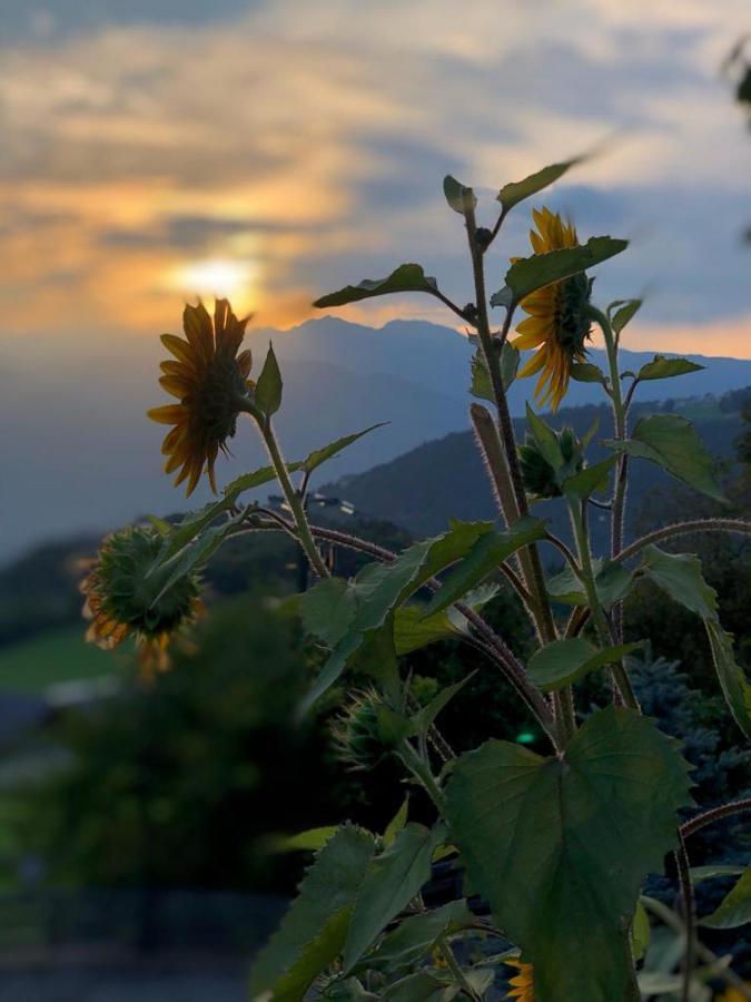 Alpenrose Διαμέρισμα Meltina Εξωτερικό φωτογραφία
