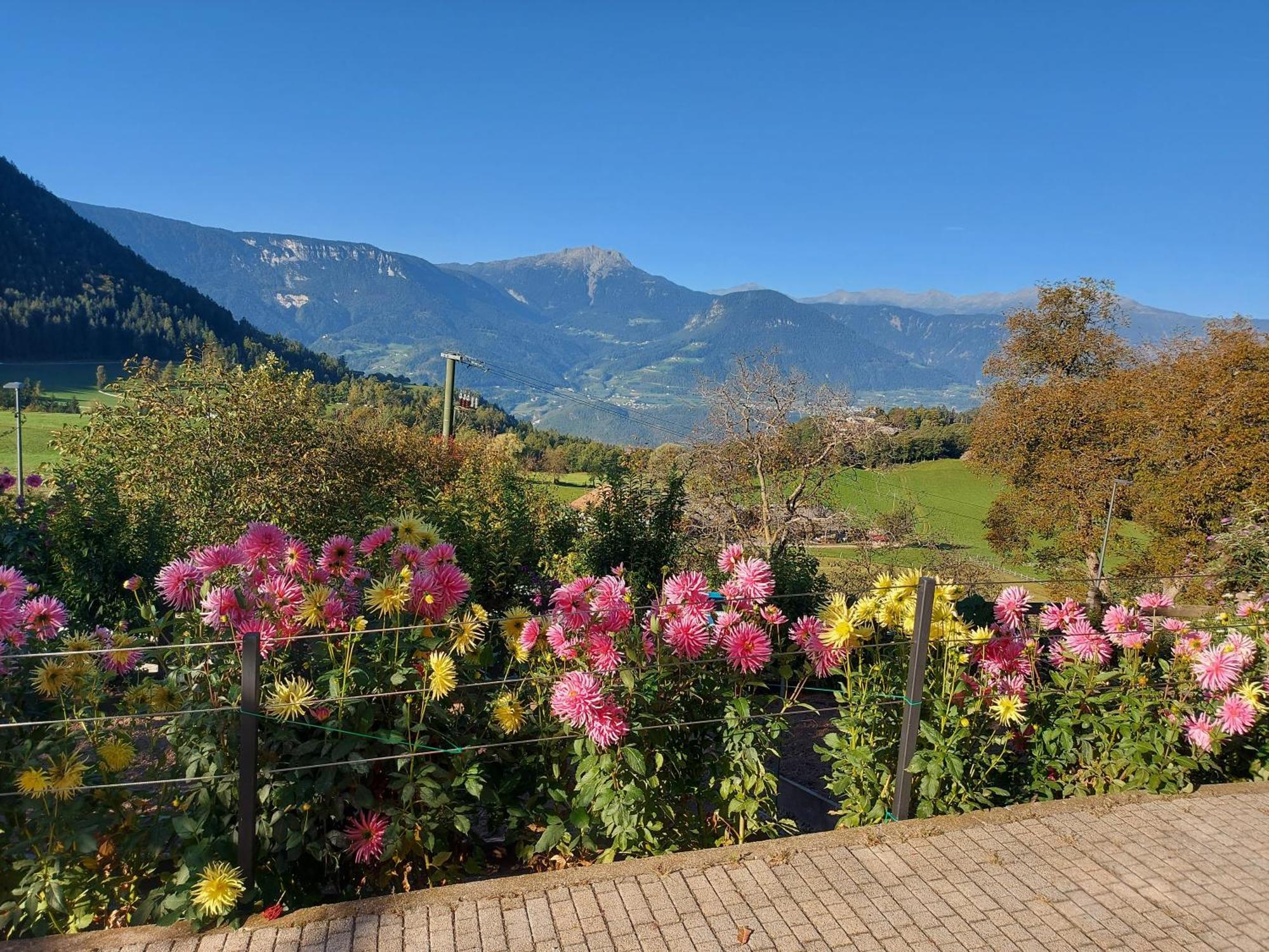 Alpenrose Διαμέρισμα Meltina Εξωτερικό φωτογραφία